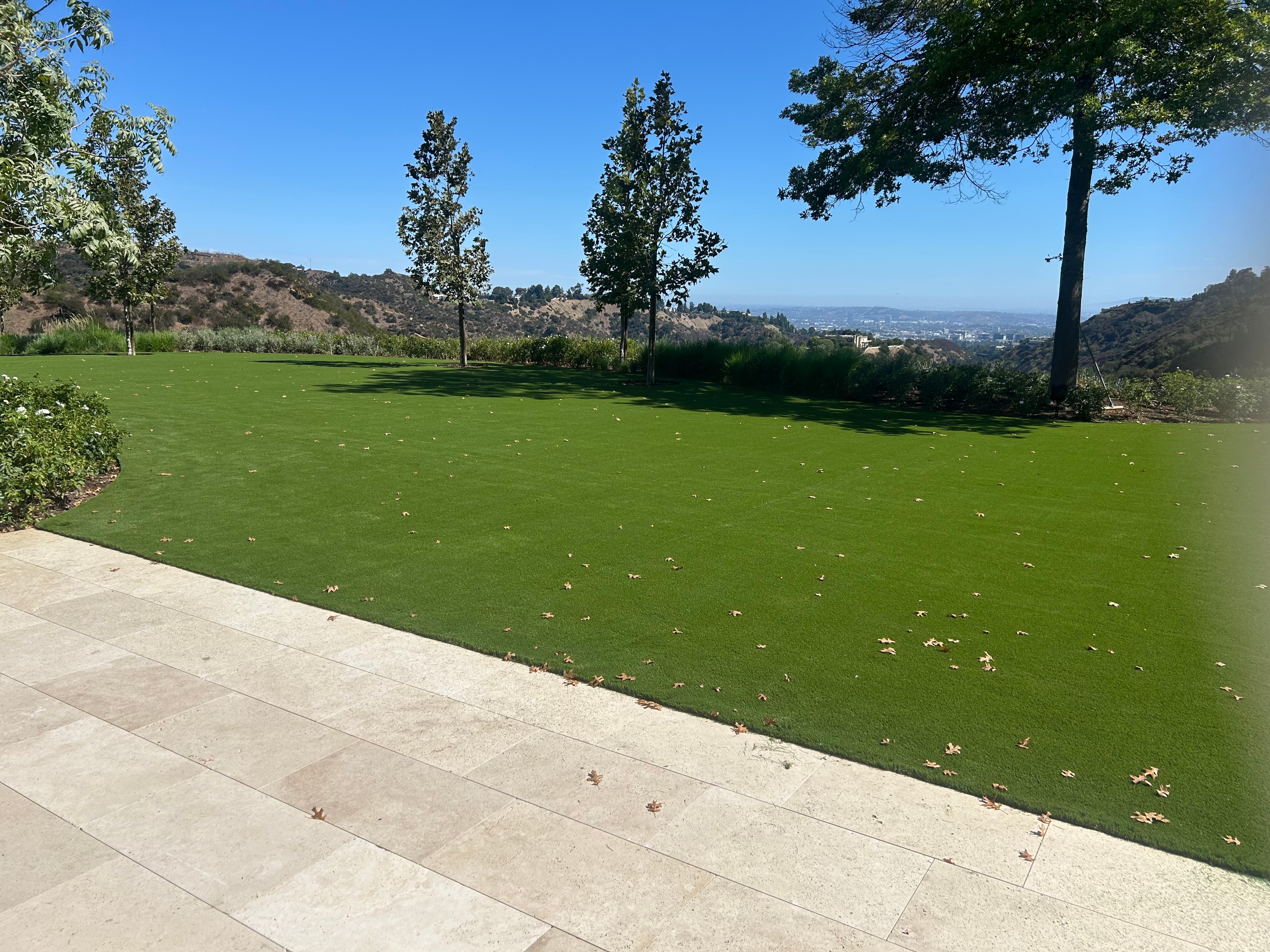Landscaped front yard